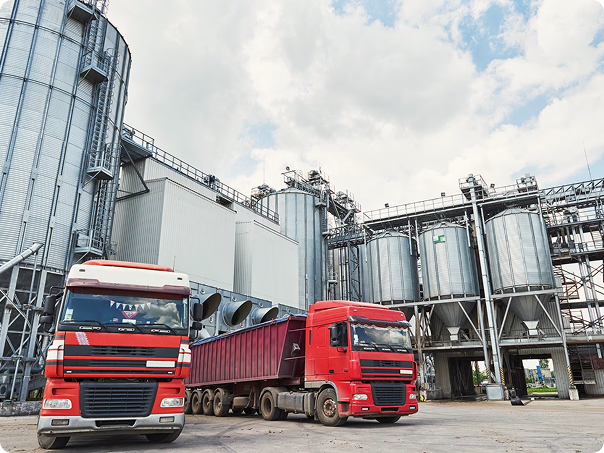 Агропереробне виробництво